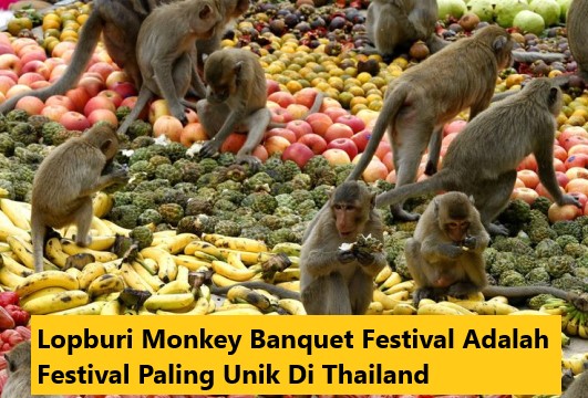 Lopburi Monkey Banquet Festival Adalah Festival Paling Unik Di Thailand